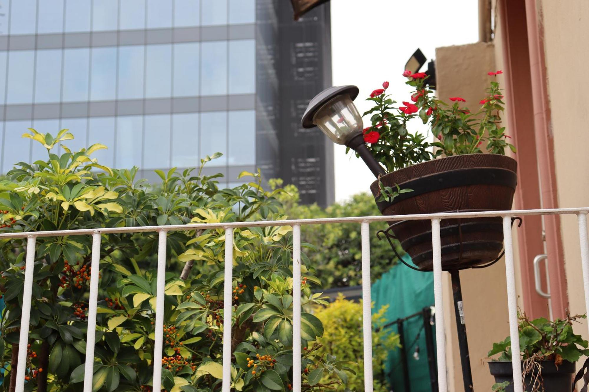The 222 Apartment Mexico City Luaran gambar